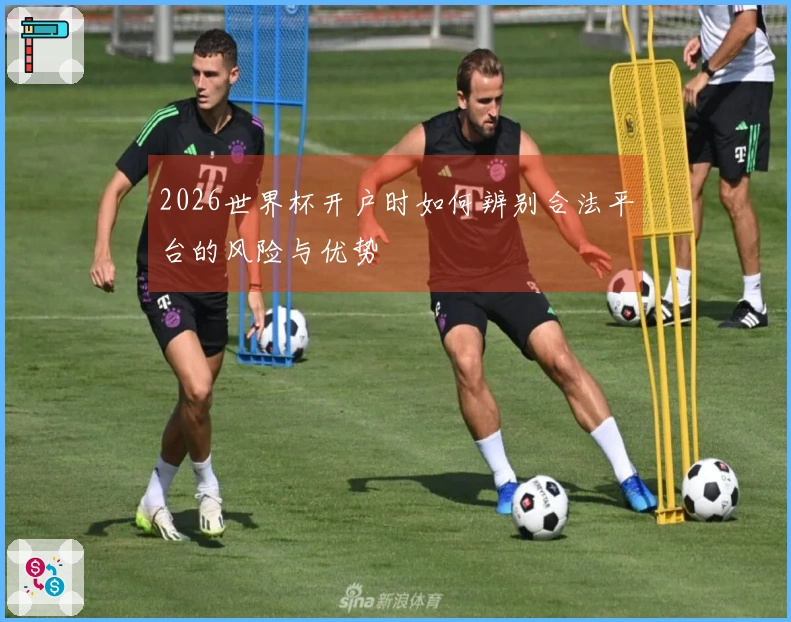 2026世界杯开户时如何辨别合法平台的风险与优势