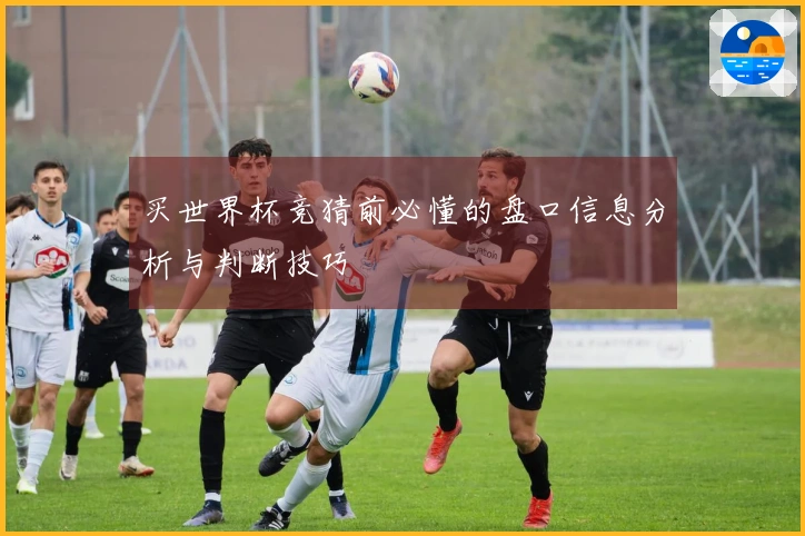 买世界杯竞猜前必懂的盘口信息分析与判断技巧