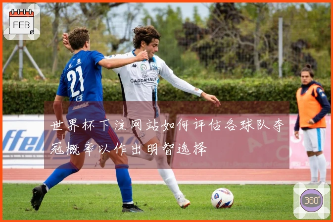 世界杯下注网站如何评估各球队夺冠概率以作出明智选择