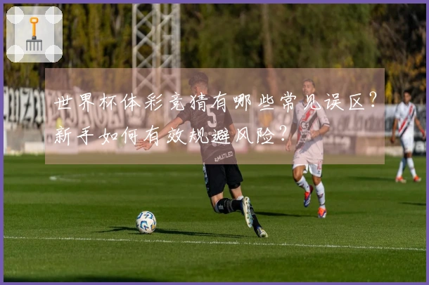 世界杯体彩竞猜有哪些常见误区？新手如何有效规避风险？
