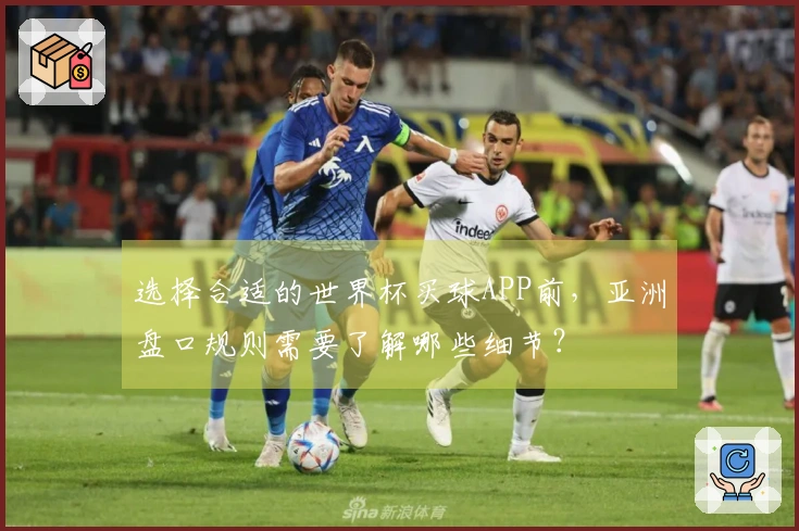 选择合适的世界杯买球APP前，亚洲盘口规则需要了解哪些细节？