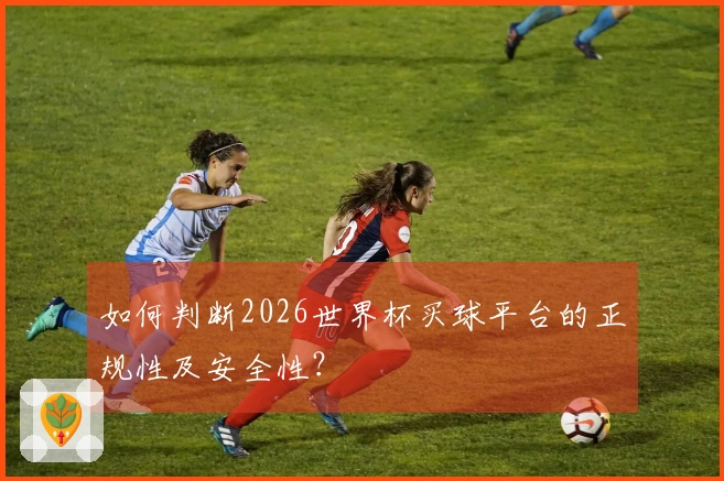 如何判断2026世界杯买球平台的正规性及安全性？
