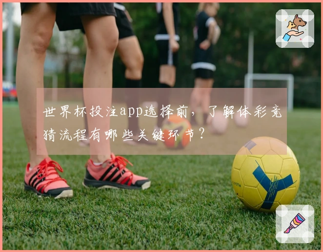 世界杯投注app选择前，了解体彩竞猜流程有哪些关键环节？