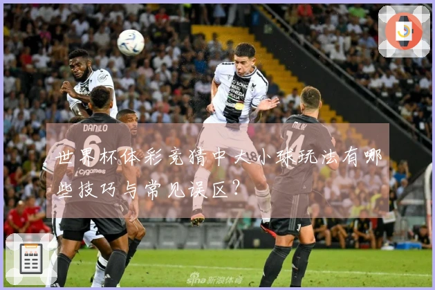 世界杯体彩竞猜中大小球玩法有哪些技巧与常见误区？