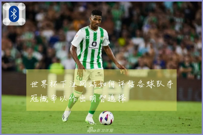 世界杯下注网站如何评估各球队夺冠概率以作出明智选择