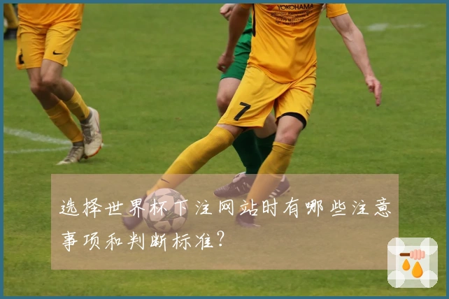 选择世界杯下注网站时有哪些注意事项和判断标准？
