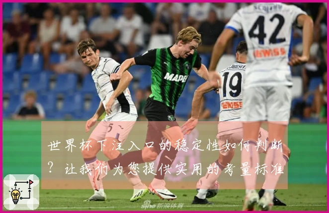 世界杯下注入口的稳定性如何判断？让我们为您提供实用的考量标准
