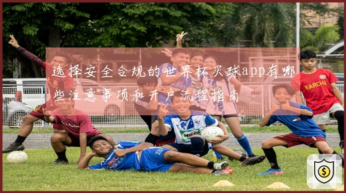 选择安全合规的世界杯买球app有哪些注意事项和开户流程指南