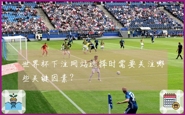 世界杯下注网站选择时需要关注哪些关键因素？