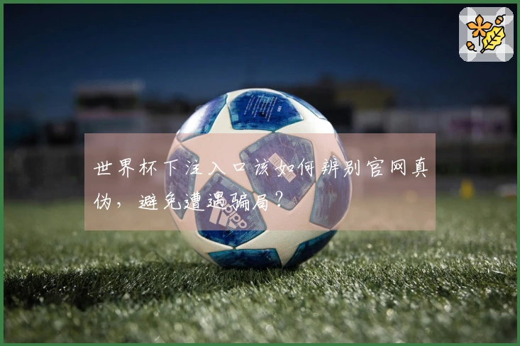 世界杯下注入口该如何辨别官网真伪,避免遭遇骗局?