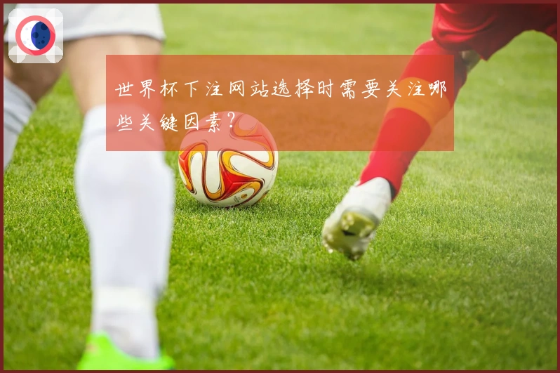 世界杯下注网站选择时需要关注哪些关键因素？