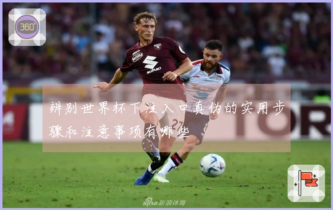 辨别世界杯下注入口真伪的实用步骤和注意事项有哪些