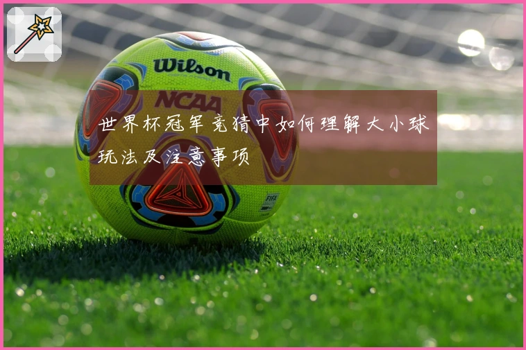 世界杯冠军竞猜中如何理解大小球玩法及注意事项
