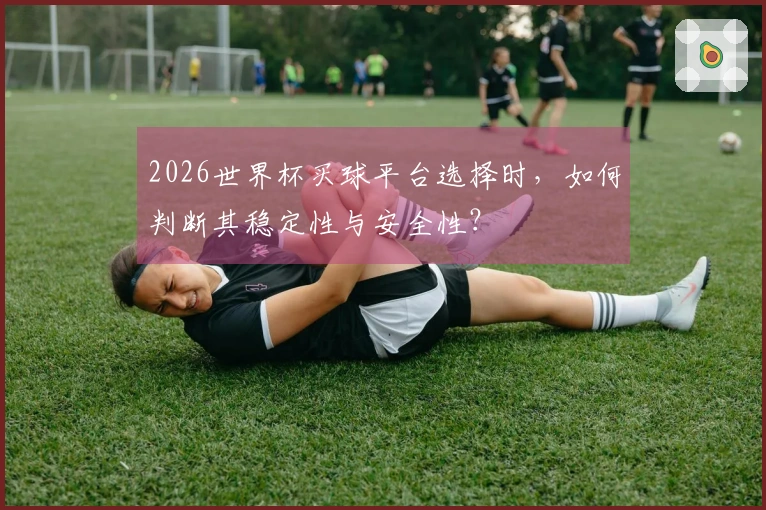 2026世界杯买球平台选择时，如何判断其稳定性与安全性？