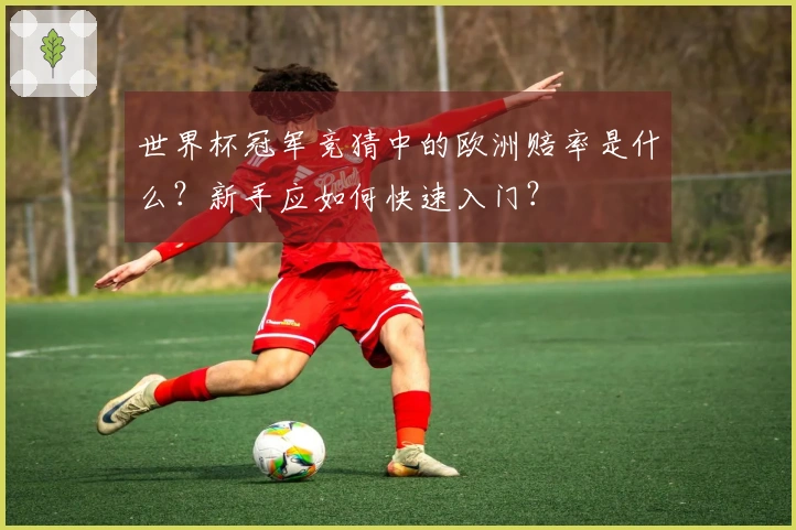 世界杯冠军竞猜中的欧洲赔率是什么？新手应如何快速入门？