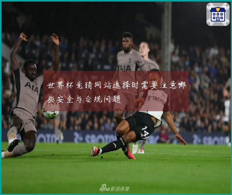 世界杯竞猜网站选择时需要注意哪些安全与合规问题