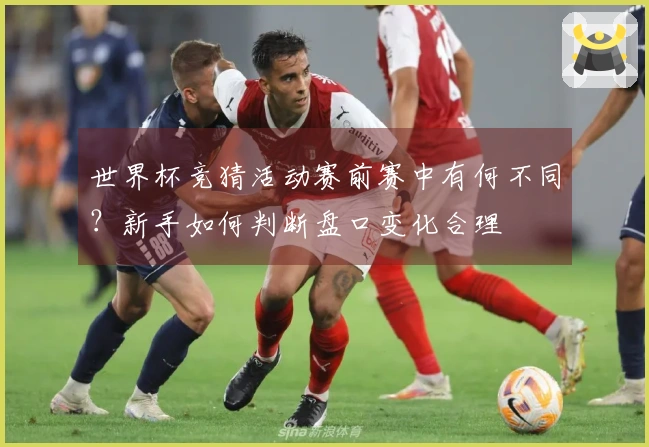 世界杯竞猜活动赛前赛中有何不同？新手如何判断盘口变化合理