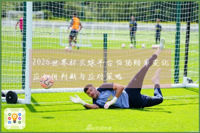 2026世界杯买球平台临场赔率变化应如何判断与应对策略