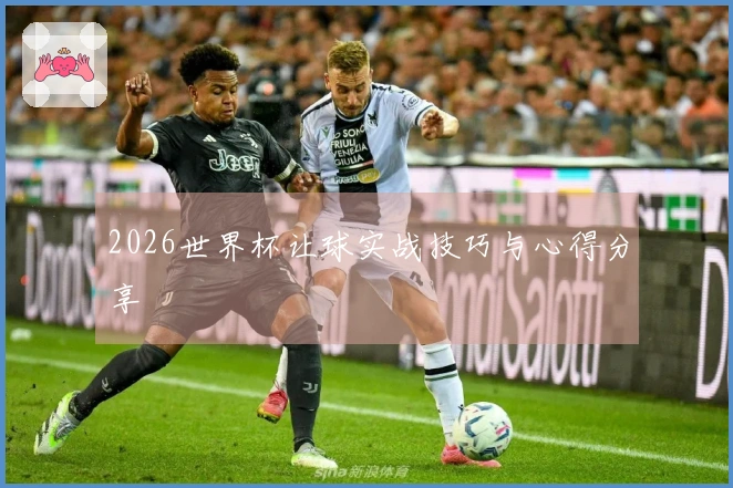 2026世界杯让球实战技巧与心得分享