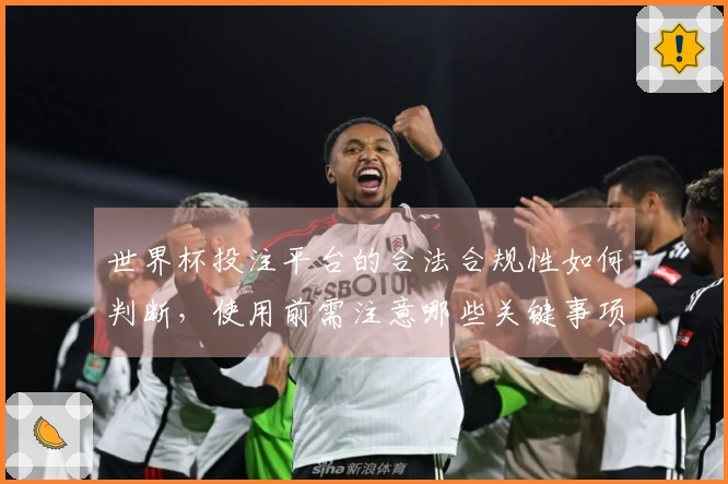 世界杯投注平台的合法合规性如何判断，使用前需注意哪些关键事项