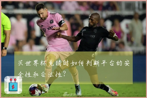 买世界杯竞猜时如何判断平台的安全性和合法性？